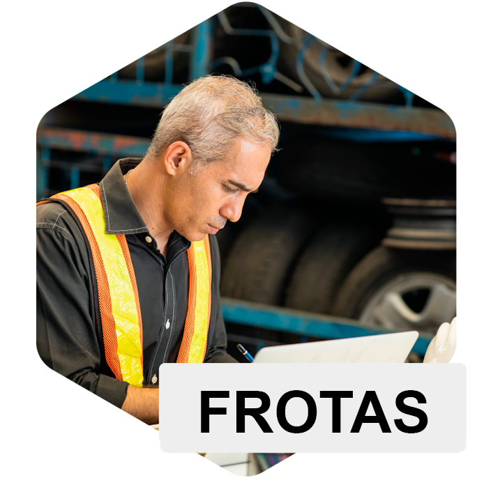 asset-frotas-manusis4